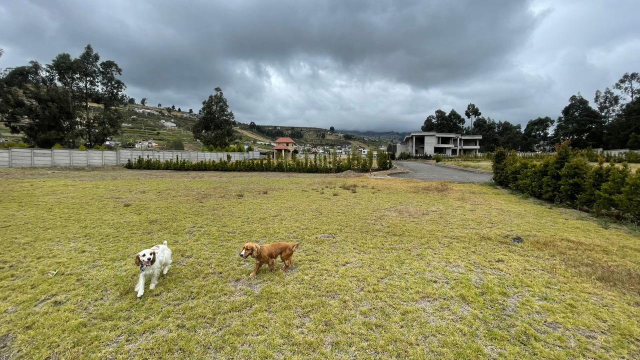 Terreno - Urbanización Privada El Bosque (Ambato) - Image 5